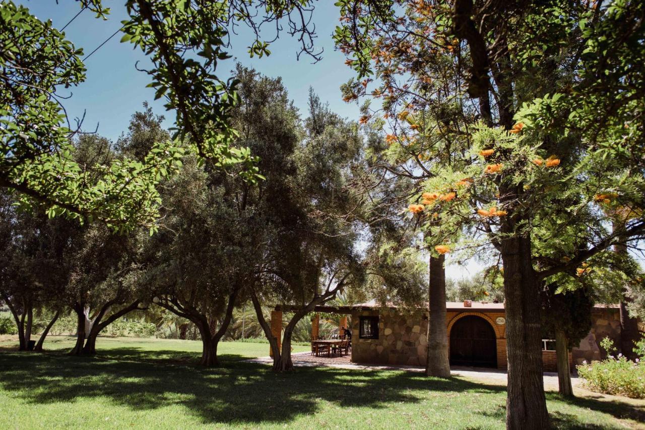 バジェ・デ・グアダルーペ Rancho Toros Pintosヴィラ エクステリア 写真