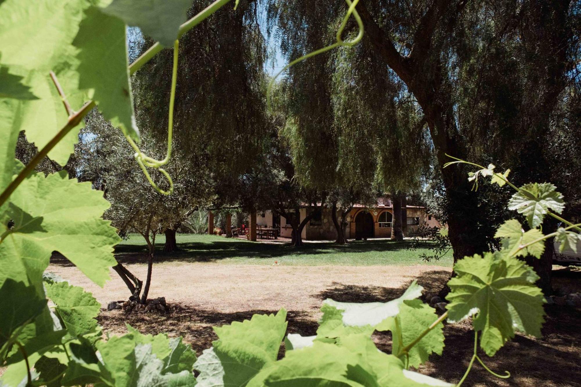 バジェ・デ・グアダルーペ Rancho Toros Pintosヴィラ 部屋 写真